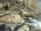 Rieka Nitra 17.03.2012 - voda z jazerá vyteká do rieky Nitra cez výpust do jazera