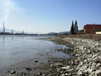 Stav hladiny 20.03.2012 - severozápadný breh jazera Nováky pohľad smerom na Juh