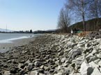 Stav hladiny 20.03.2012 - východný breh jazera Nováky pohľad smerom na Juh